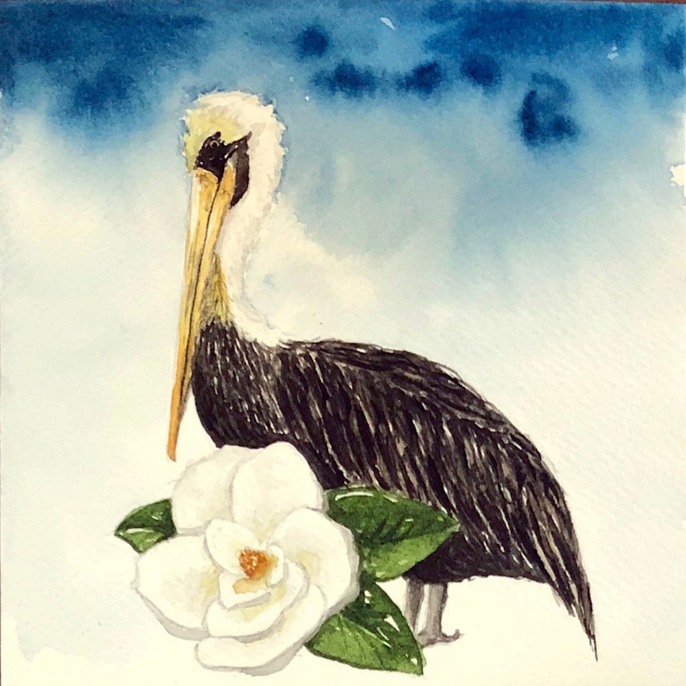 pelican magnolia 2