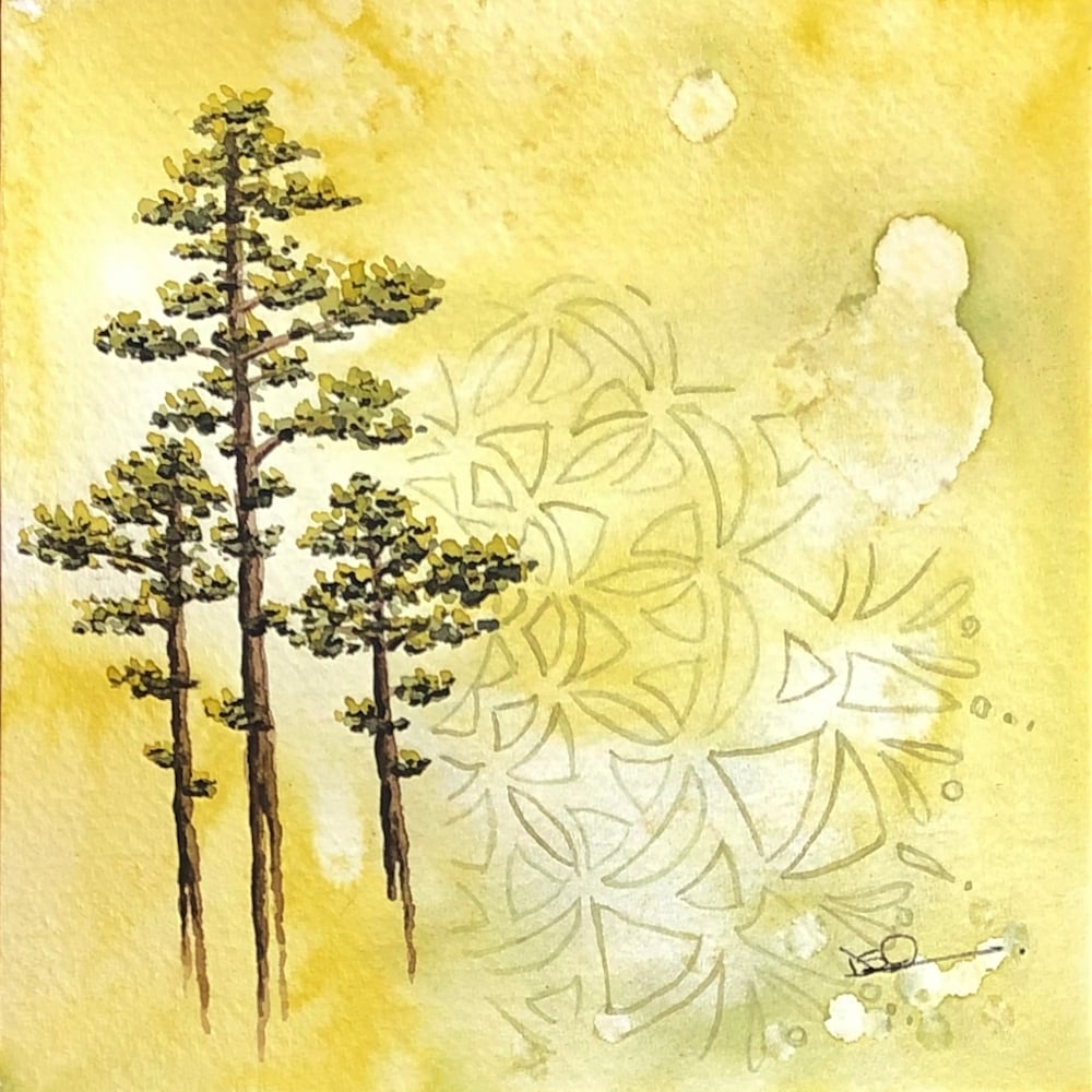 Primal longleaf pine trees