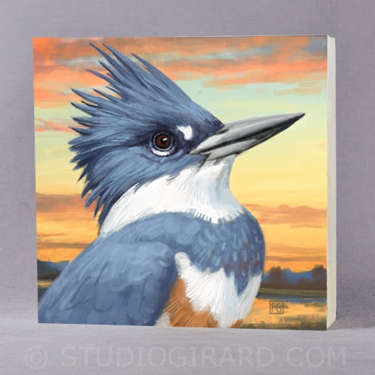 BELTED KINGFISHER 35 x 35 PRINT 2