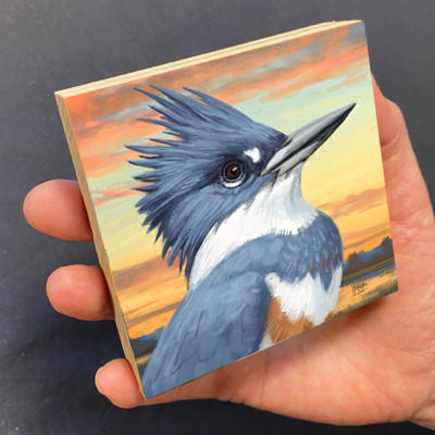 BELTED KINGFISHER 35 x 35 PRINT 3