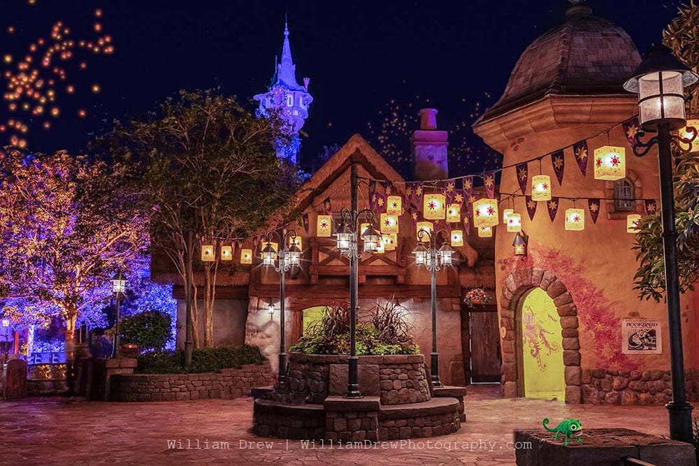 Tangled Magic Kingdom Disney Removable Wallpaper by William Drew Photography