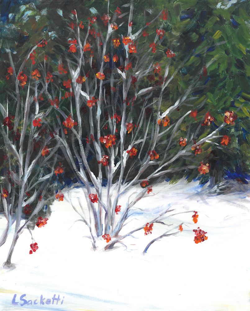 Berries in the snow united
