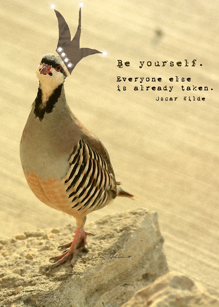 bird be yourself s