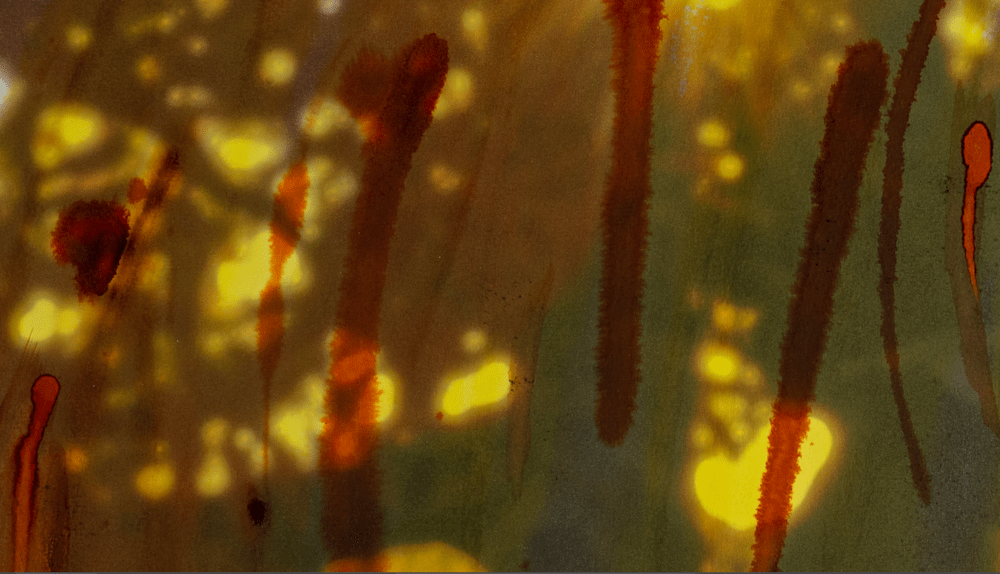 Red Tree, Early Morning Light (Detail)1