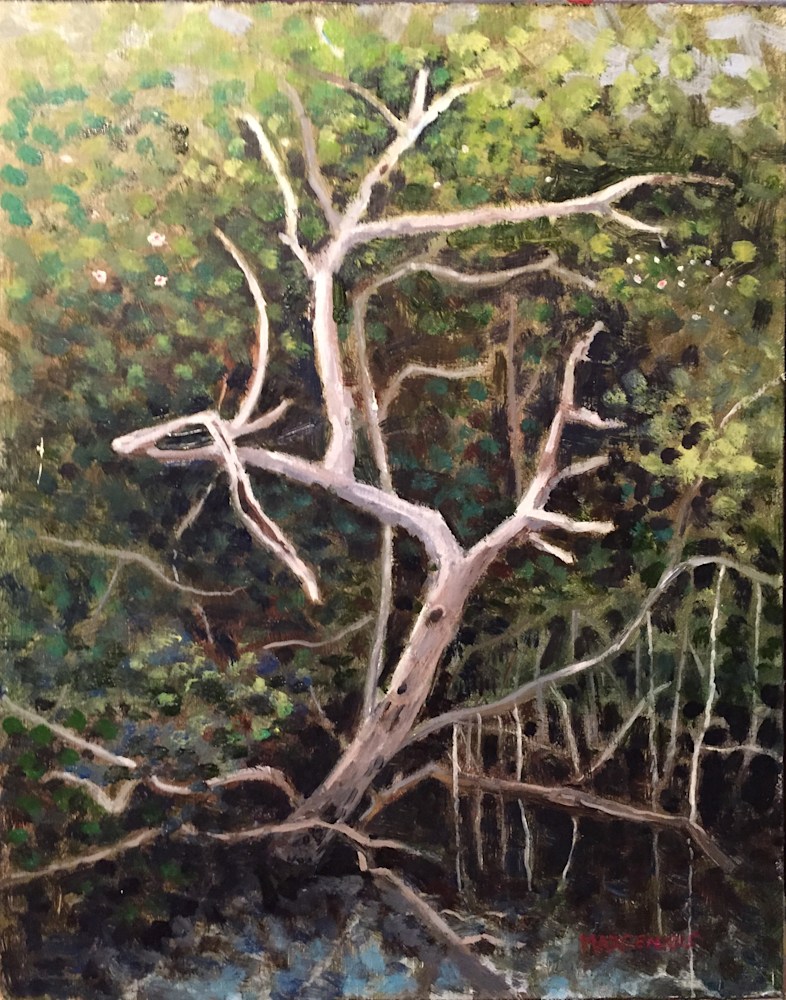 Ghost in the Mangrove resized 11x14 resized