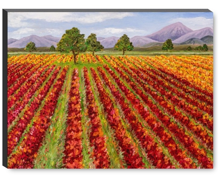 Wine Country Change of Seasons frmsite galwrap blk