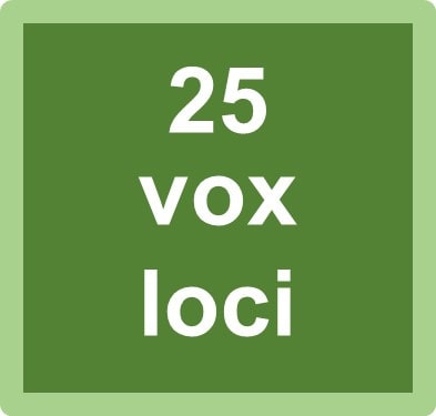 outline 25 vox loci