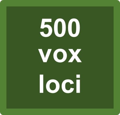 outline 500 vox loci