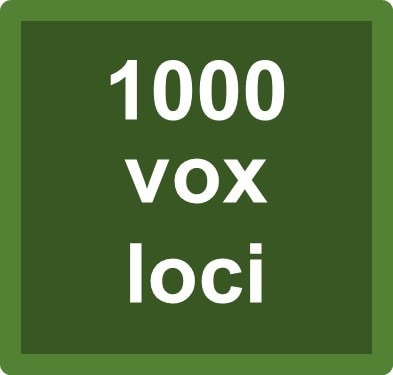 outline 1000 vox loci