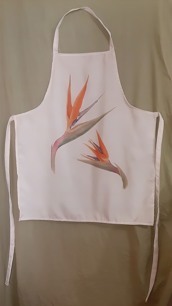 Birds of Paradise Apron very compressed scale 2 00x gigapixel