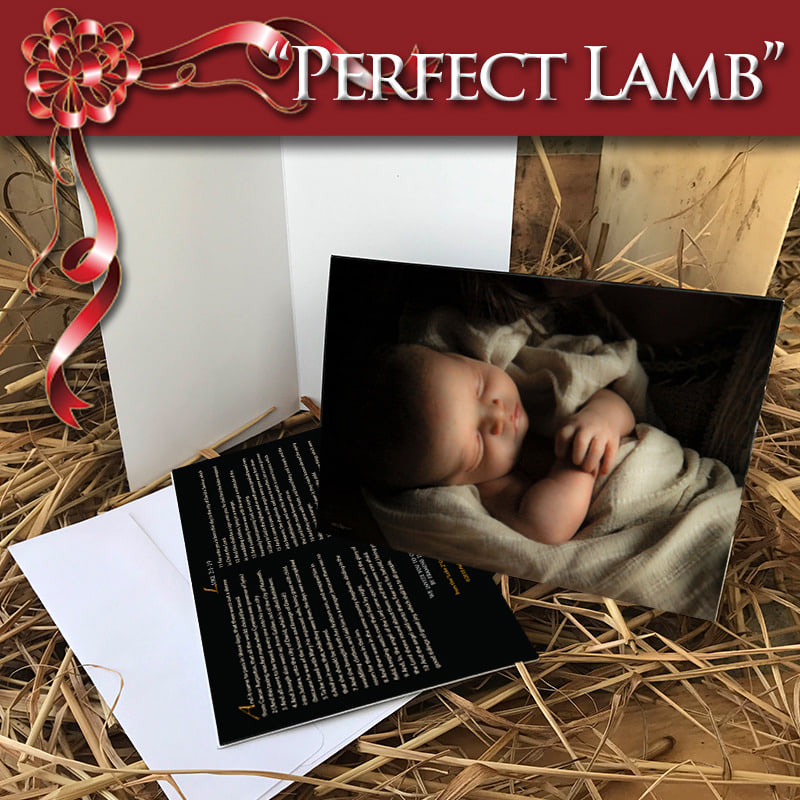 Greeting Card Perfect Lamb web