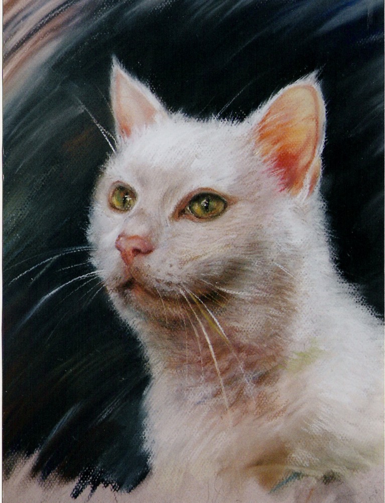 Jelena Eros   Elena Eros White cat, Pastel on paper, 16''x11'' $350