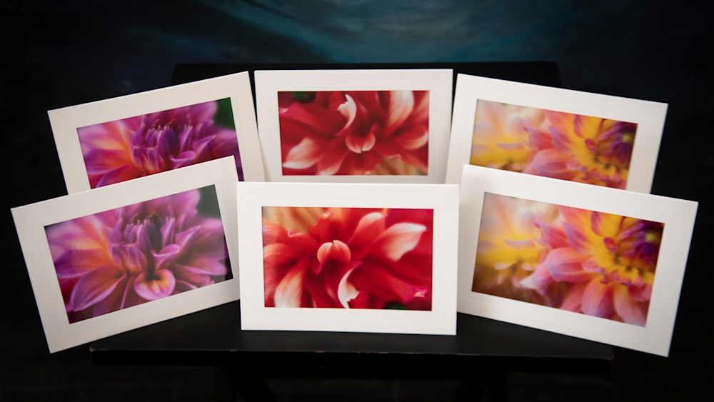 BFAP Greeting Cards 5448