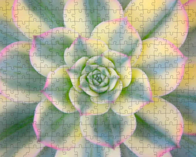 inner beauty puzzle