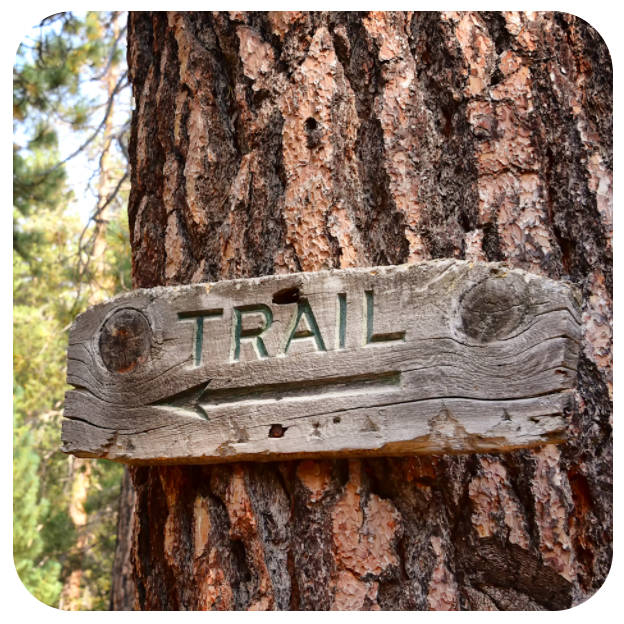 Trail Sign in Tree Coaster