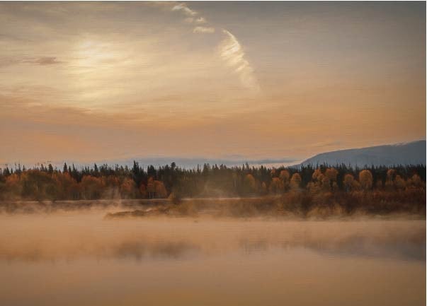 Autumn Morning Mist