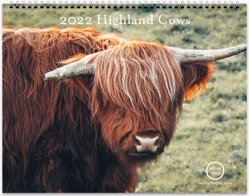 NEW 2022 highlandcows Cover