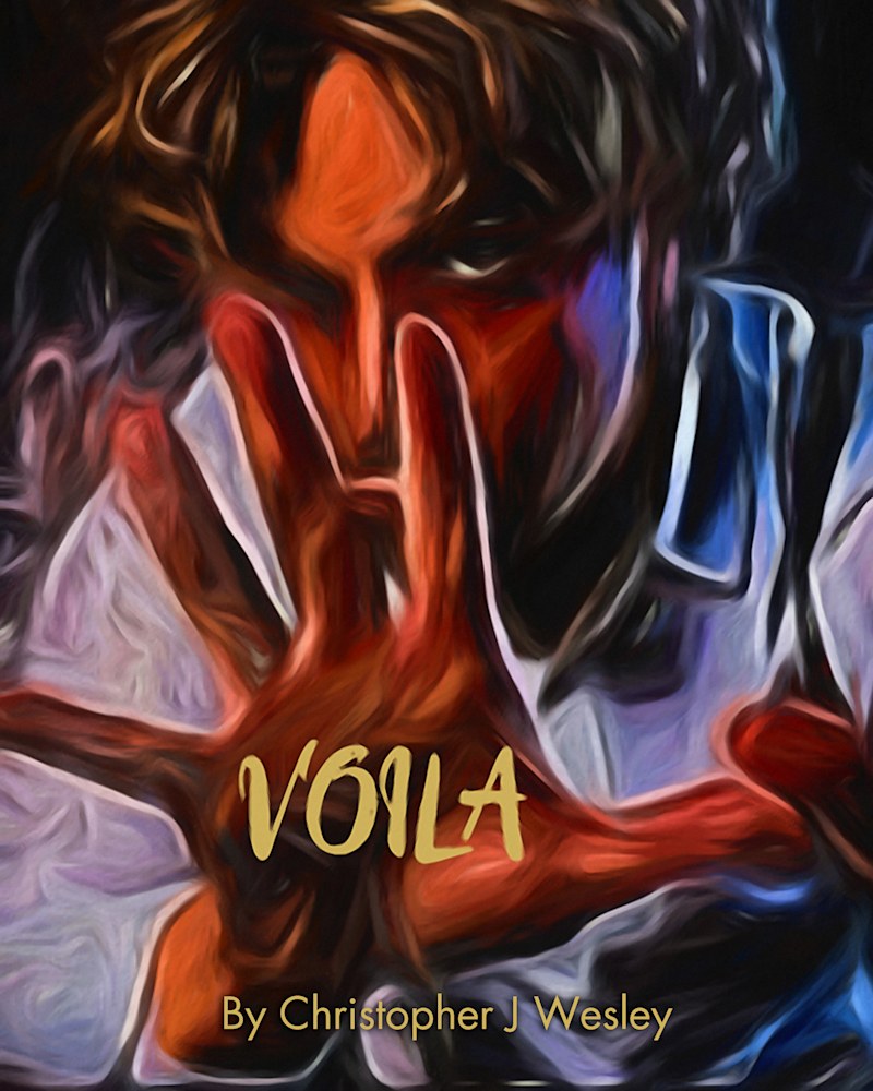 Voila V2