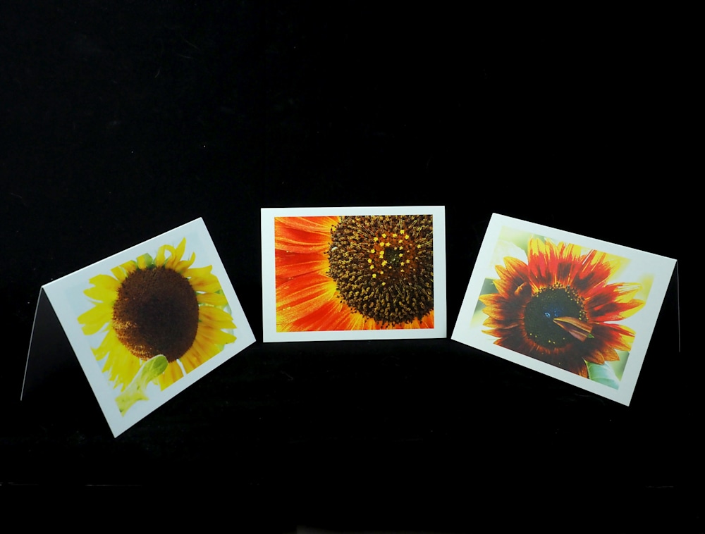 SunflowerCardSamples