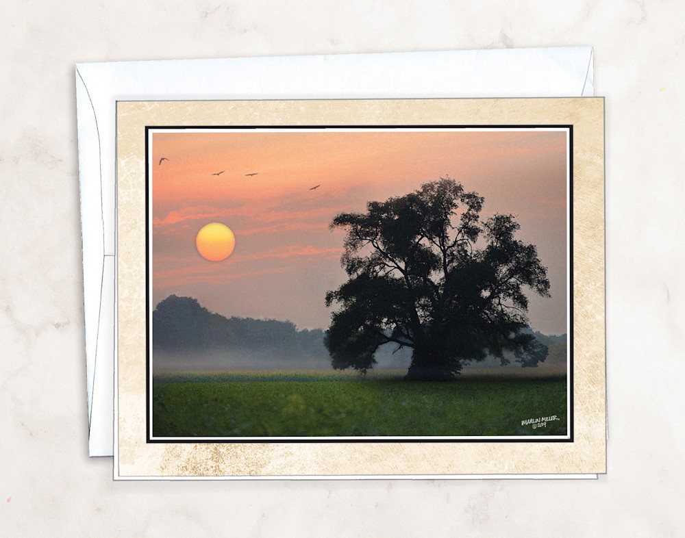Old Tree Card