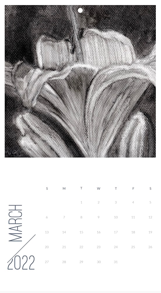 Screen Shot 2021 12 13 at 8