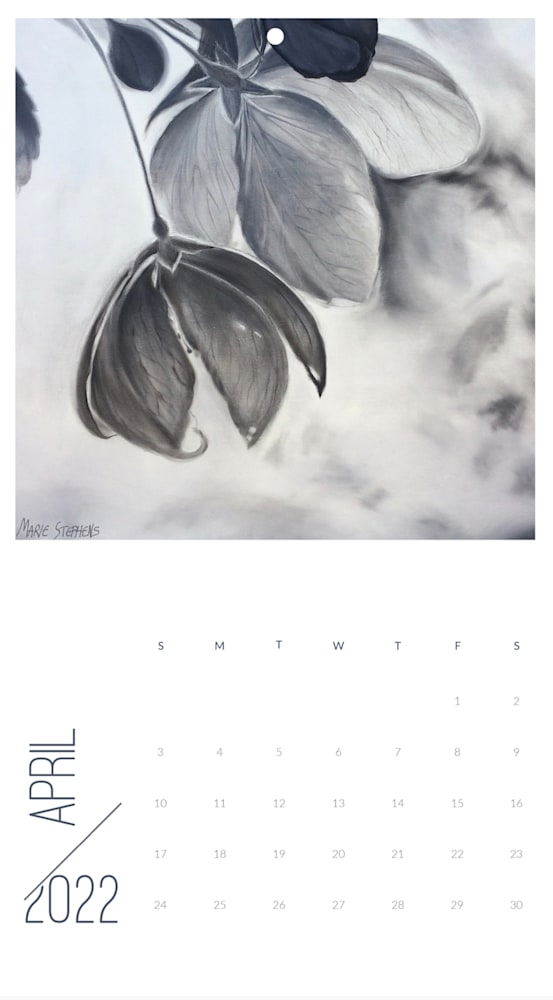 Screen Shot 2021 12 13 at 8