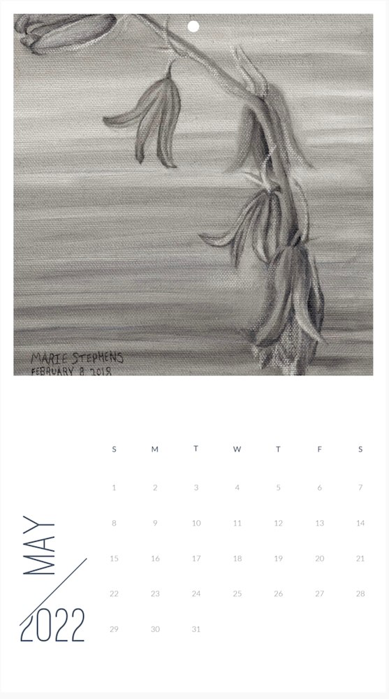 Screen Shot 2021 12 13 at 8