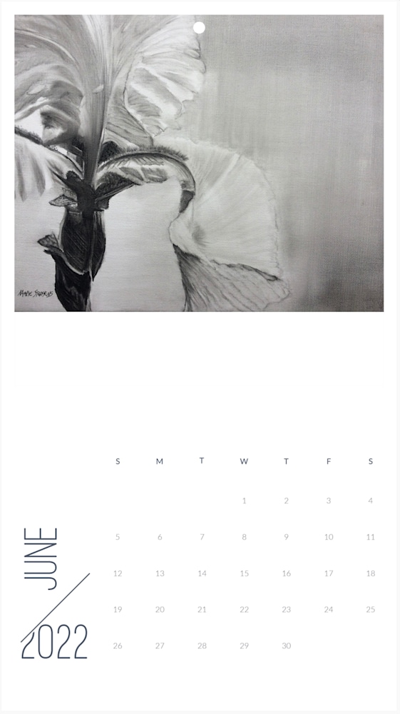 Screen Shot 2021 12 13 at 8