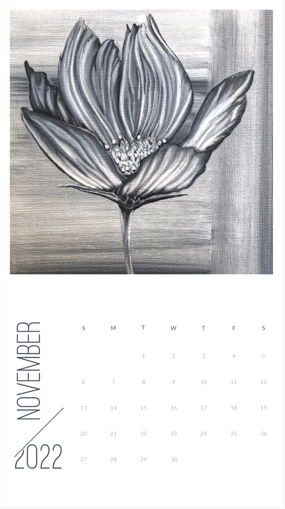 Screen Shot 2021 12 13 at 8