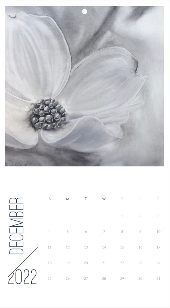 Screen Shot 2021 12 13 at 8