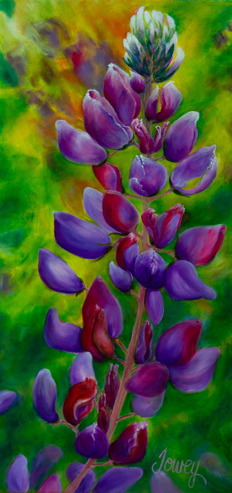 Wild Purple Lupin
