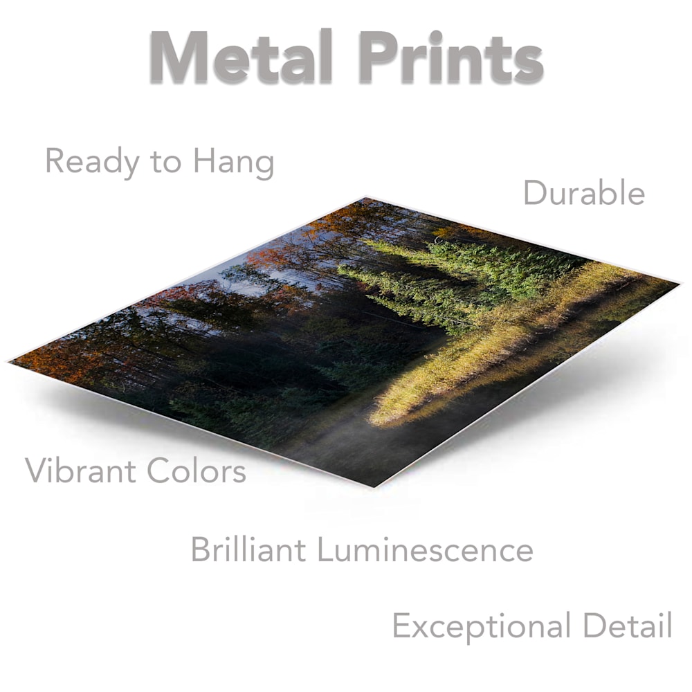 moraine lake metal prints