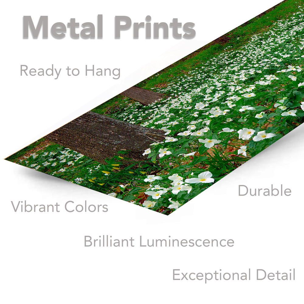 powers bluff trillium panoramic metal prints