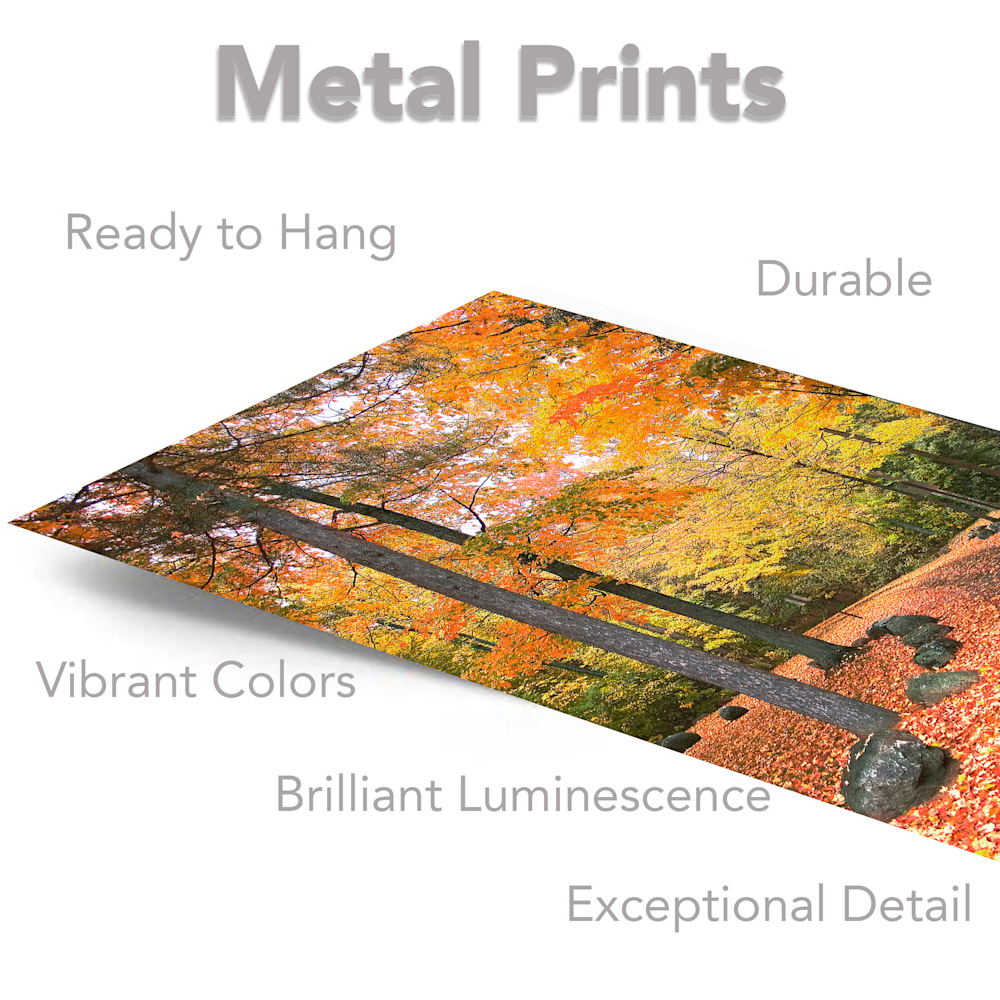 turning into fall vertical metal prints