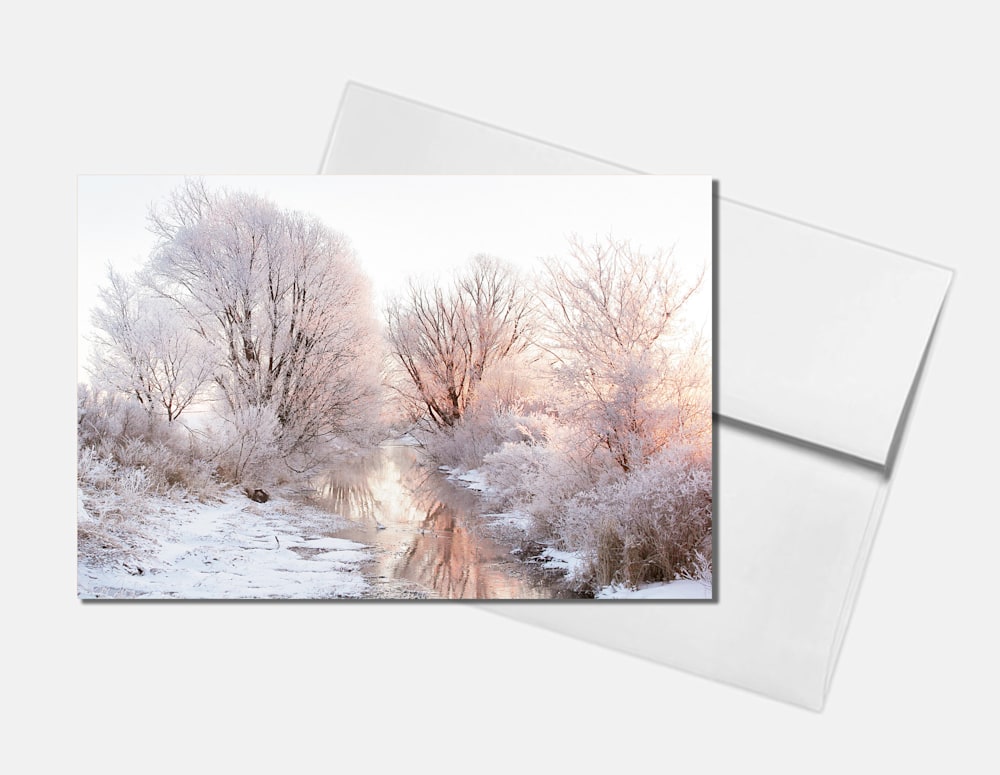 hoar frost on the BV 1 card w envelope