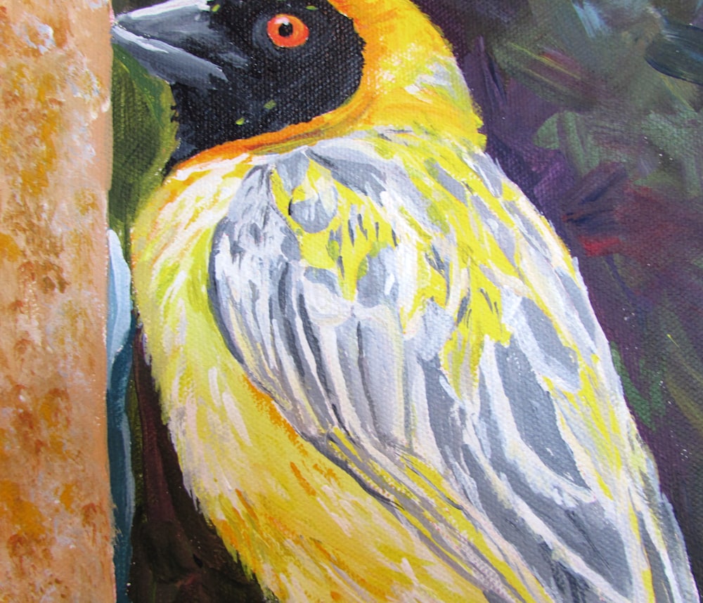 Yellow Weaver detail