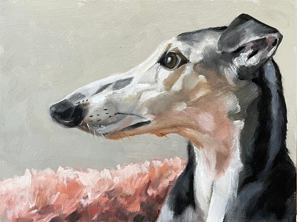 greyhound profile