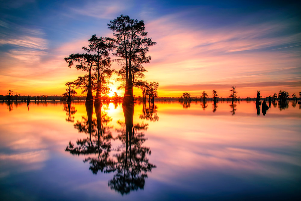 Andy Crawford Photography Dawn in Henderson Swamp