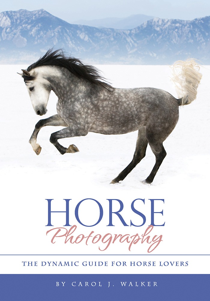 HorsePhotographyCoverCarolWalker