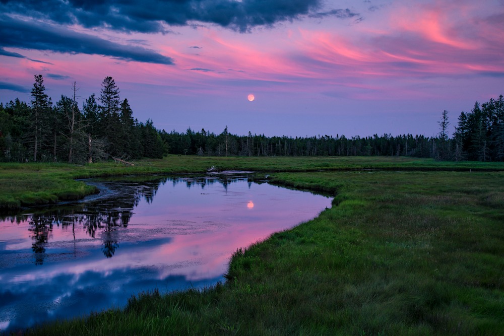 Andy Crawford Photography Moon Over Bass Harbor Marsh   Signed Edition