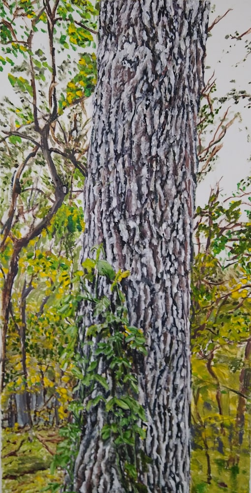 Oak Tree With Invasive Vine | manVshadow - Michael E. Voss Fine Art