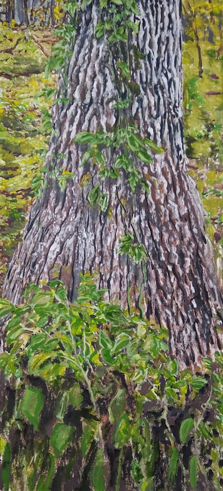 Oak Tree With Invasive Vine | manVshadow - Michael E. Voss Fine Art