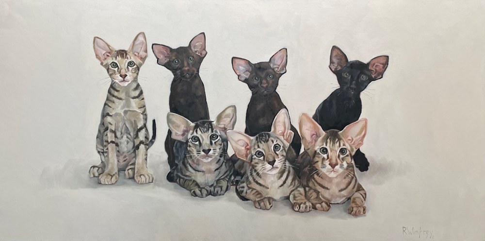 seven kitties