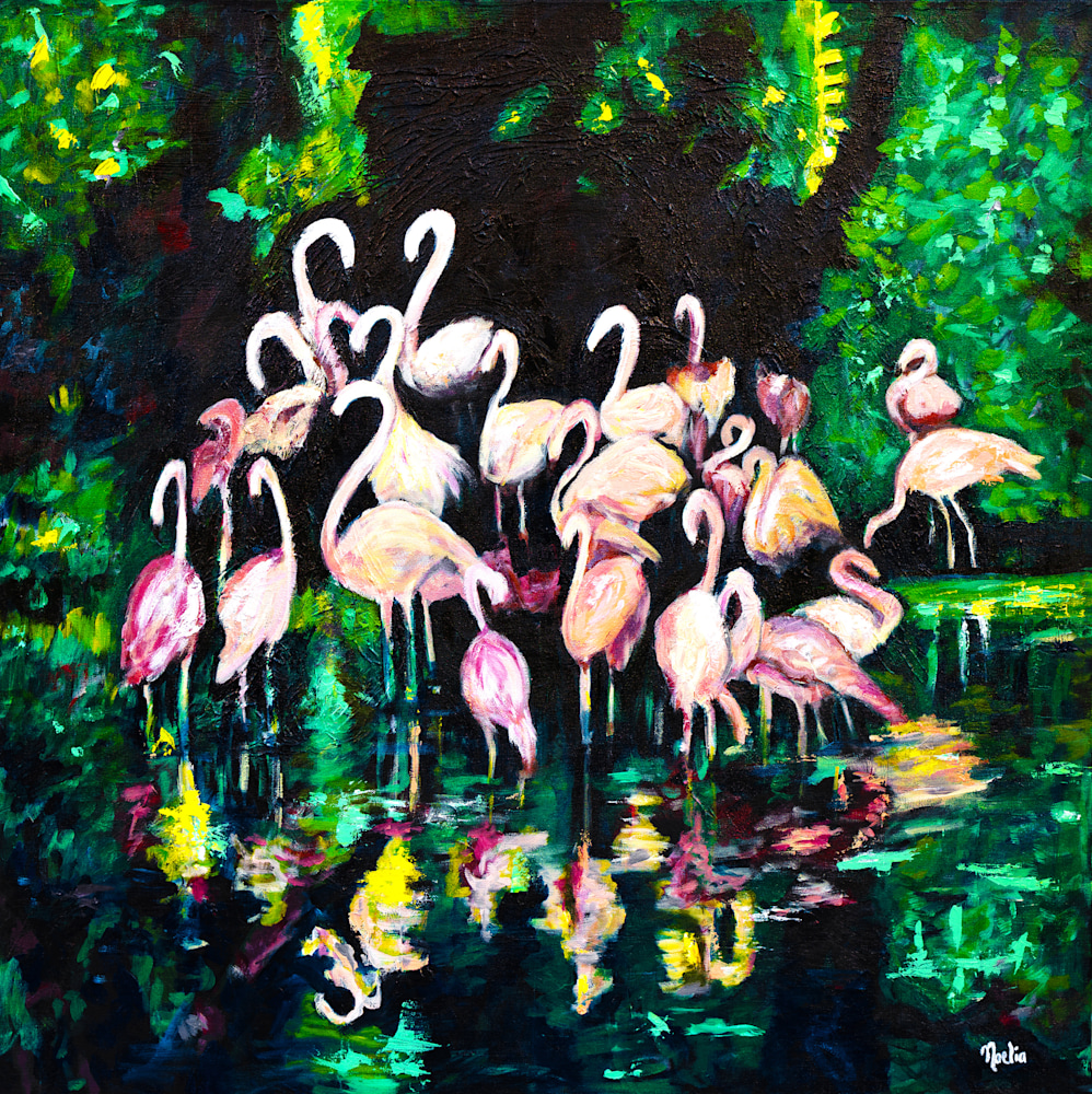 Night of the Flamingos for rint