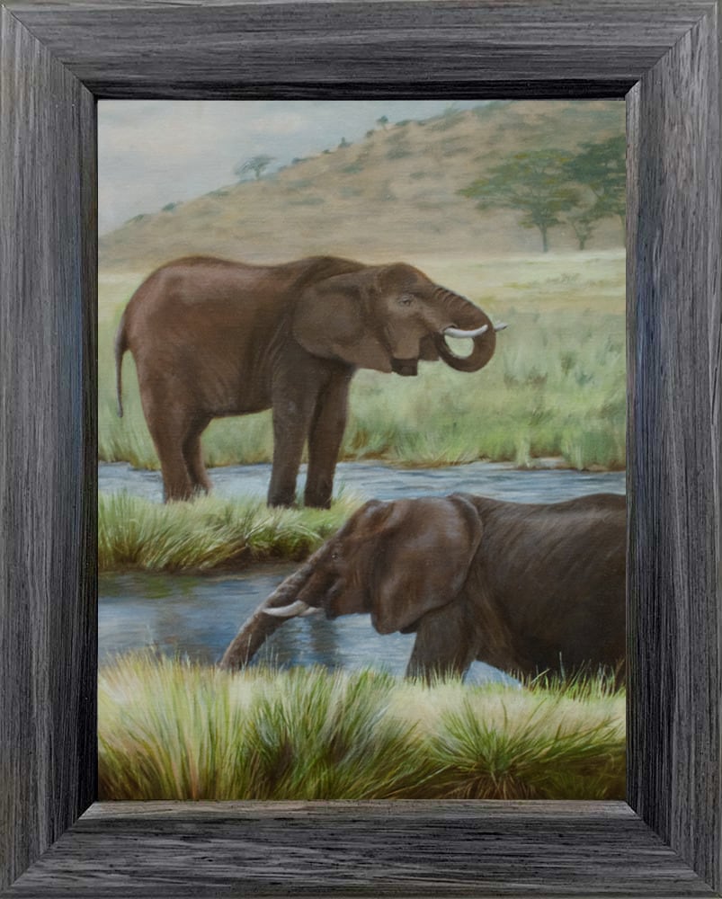 ElephantHappyHour frame