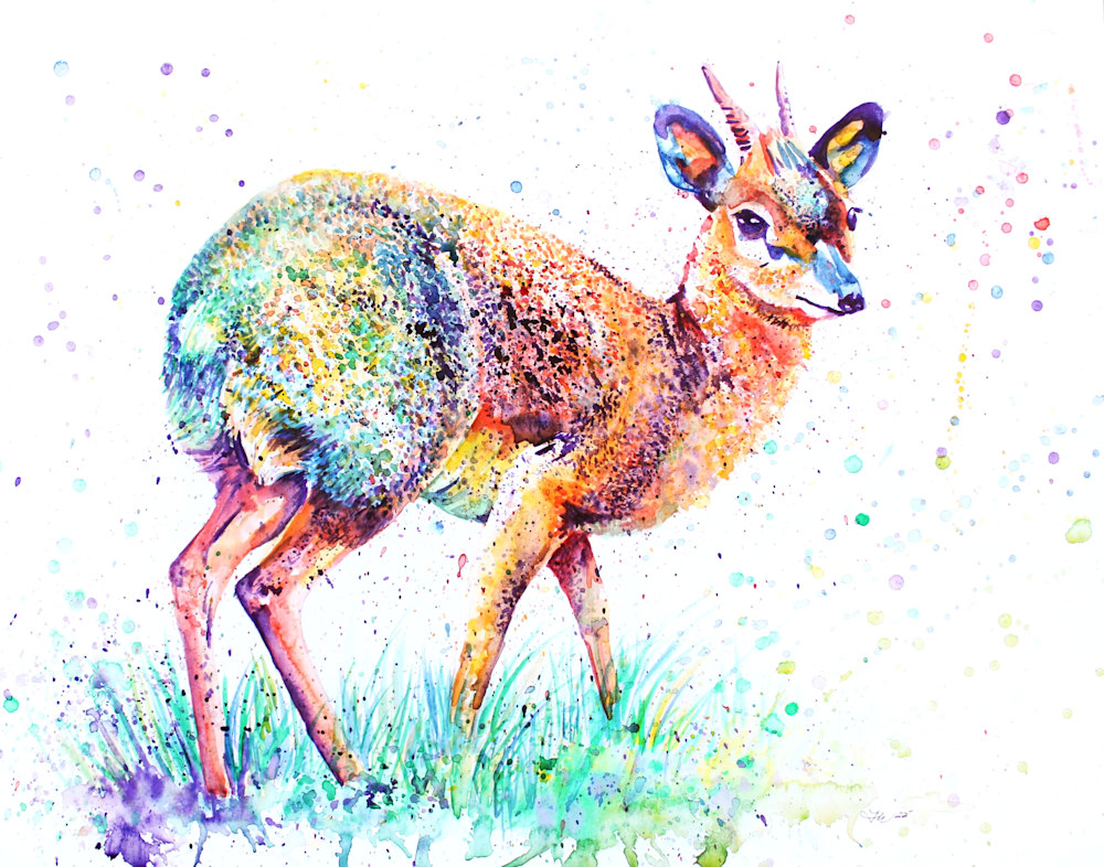 edited dikdik edited (1)