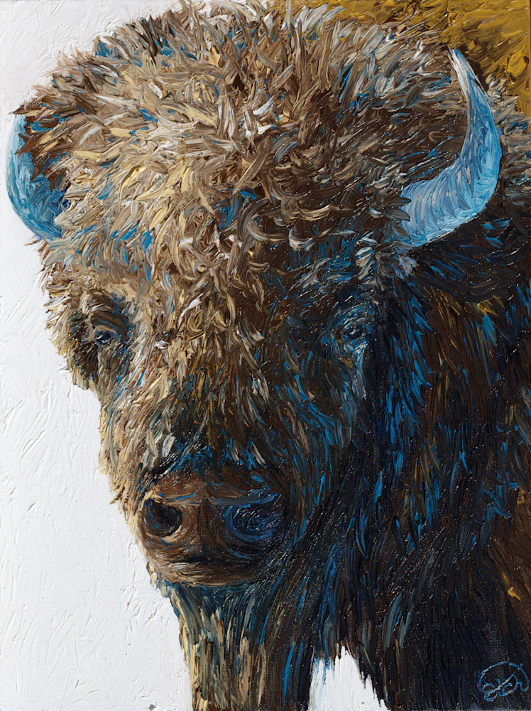 Bull Bison Portrait Small