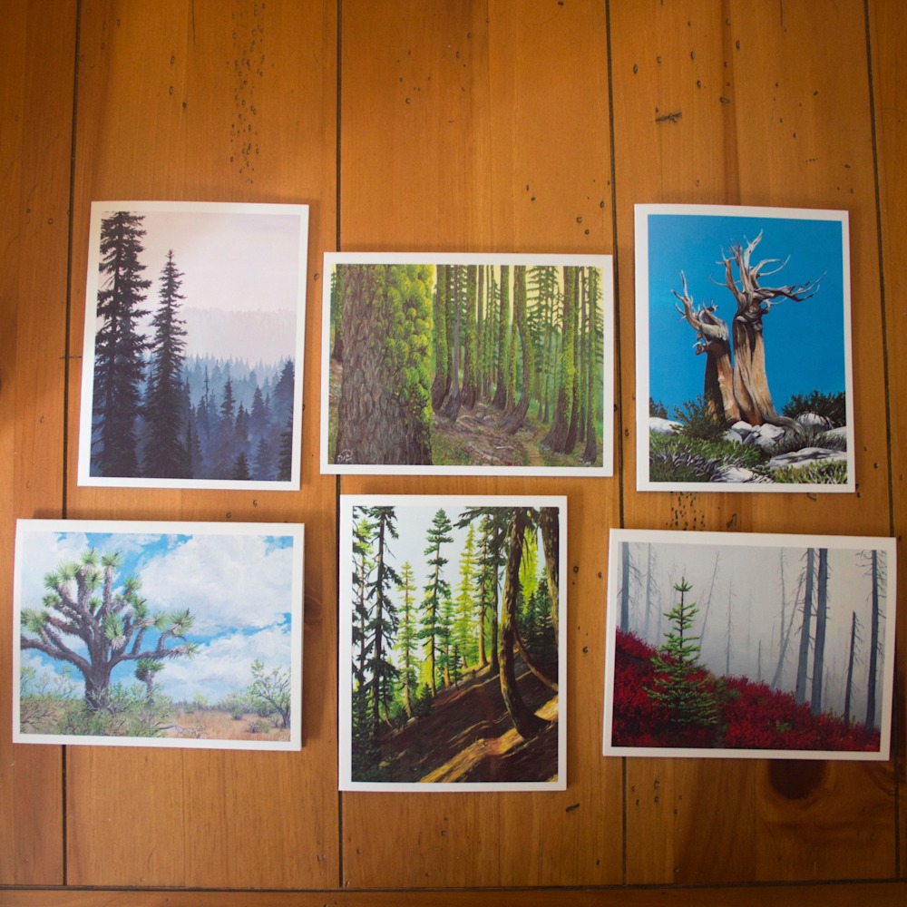 PCT Tree cards 2