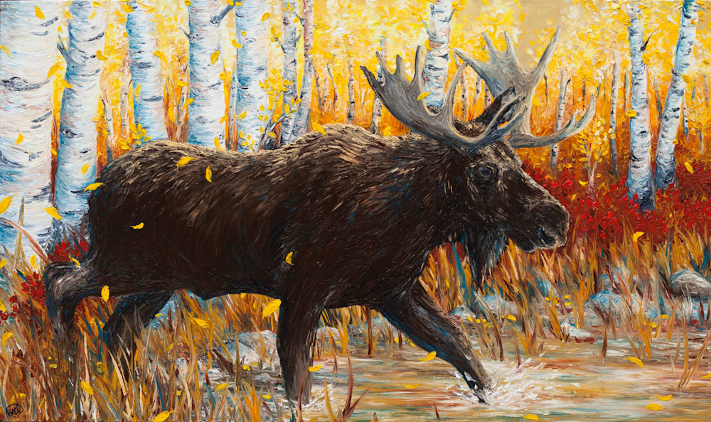 Bull Moose in the Aspens 36x60