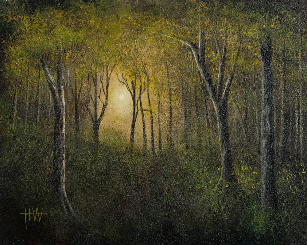 Forest Sun 5001